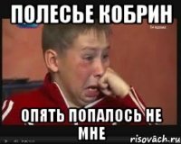 полесье кобрин опять попалось не мне