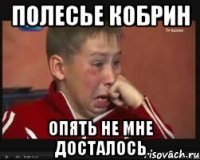 полесье кобрин опять не мне досталось