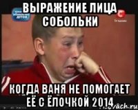 Выражение лица Собольки когда ваня не помогает её с ёлочкой 2014