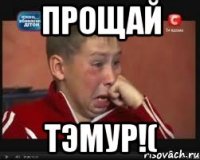 Прощай Тэмур!(
