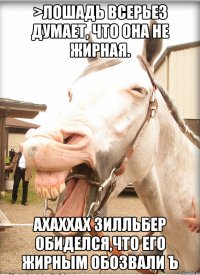 >лошадь всерьез думает, что она не жирная. ахаххах зилльбер обиделся,что его жирным обозвали ъ