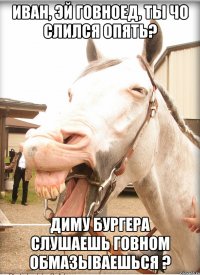 иван, эй говноед, ты чо слился опять? диму бургера слушаешь говном обмазываешься ?