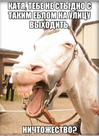 катя, тебе не стыдно с таким еблом на улицу выходить, ничтожество?