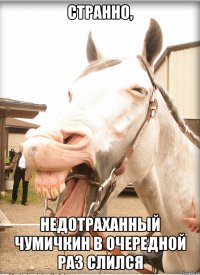 странно, недотраханный чумичкин в очередной раз слился