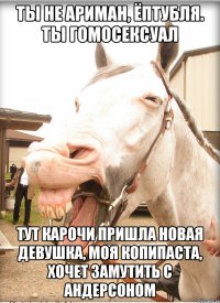 ты не ариман, ёптубля. ты гомосексуал тут карочи пришла новая девушка, моя копипаста, хочет замутить с андерсоном