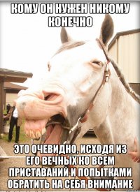 кому он нужен никому конечно это очевидно, исходя из его вечных ко всем приставаний и попытками обратить на себя внимание