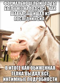 формально целый год ты был у нее на подсосе , как шавка защищал из последних сил . в итоге как обиженная телка выдал все интимные подробности