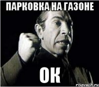 ПАРКОВКА НА ГАЗОНЕ ОК