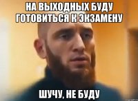 на выходных буду готовиться к экзамену шучу, не буду