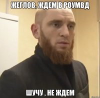 Жеглов, ждем в РОУМВД Шучу , не ждем