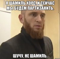 Я Шамиль Хорс, и сейчас мы будем партизанить. шучу, не Шамиль.