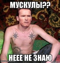 мускулы?? неее не знаю