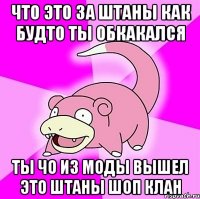 что это за штаны как будто ты обкакался ты чо из моды вышел это штаны шоп клан