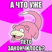 а что уже лето закончилось?