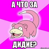 а что за дидие?
