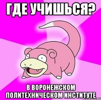 где учишься? в воронежском политехническом институте