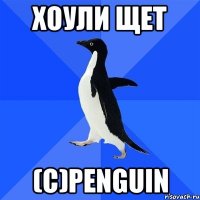 Хоули Щет (c)Penguin