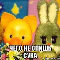  чего не спишь сука