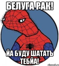 белуга рак! Йа буду Шатать тебйа!