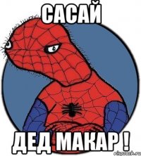 Сасай дед макар !