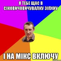 я тебе щас в сіковичовичувалку зіпхну і на мікс включу