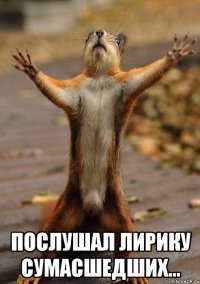  Послушал лирику сумасшедших...