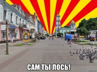  сам ты лось!
