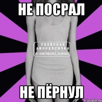 не посрал не пёрнул