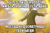 Вылетел из аэропорта им.Бен-Гуриона в Тель-Авиве Моссад не досматривал твой багаж