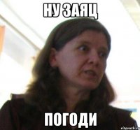 ну заяц погоди