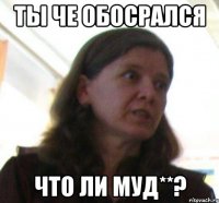 ты че обосрался что ли муд**?