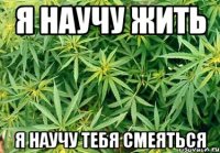 я научу жить я научу тебя смеяться