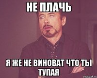 не плачь я же не виноват что ты тупая