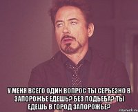  у меня всего один вопрос ты серьезно в запорожье едешь? без подьеба? ты едешь в город запорожье?