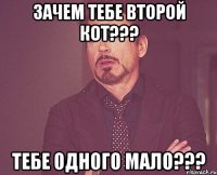 зачем тебе второй кот??? тебе одного мало???