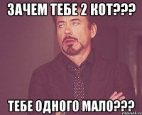 зачем тебе 2 кот??? тебе одного мало???