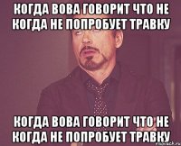 Когда Вова говорит что не когда не попробует травку Когда Вова говорит что не когда не попробует травку