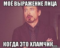 МОЁ ВЫРАЖЕНИЕ ЛИЦА КОГДА ЭТО ХЛАМЧИК....