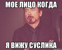 МОЕ ЛИЦО КОГДА Я ВИЖУ СУСЛИКА