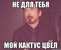 не для тебя мой кактус цвел