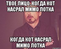 Твое лицо, когда кот насрал мимо лотка когда кот насрал мимо лотка