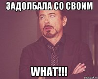 задолбала со своим what!!!