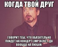 Когда твой друг говорит тебе, что ОБЯЗАТЕЛЬНО пойдёт на концерт Limp Bizket, да вообще на любой.