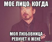 МОЕ ЛИЦО, КОГДА МОЯ ЛЮБОВНИЦА РЕВНУЕТ К ЖЕНЕ