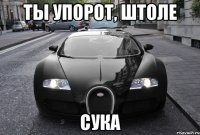 ты упорот, штоле сука