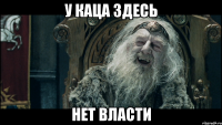 у каца здесь нет власти
