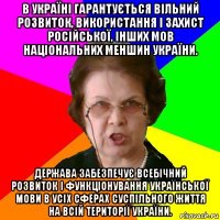 В Україні гарантується вільний розвиток, використання і захист російської, інших мов національних меншин України. Держава забезпечує всебічний розвиток і функціонування української мови в усіх сферах суспільного життя на всій території України.