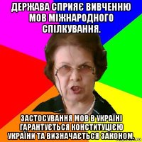 Держава сприяє вивченню мов міжнародного спілкування. Застосування мов в Україні гарантується Конституцією України та визначається законом.