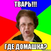 Тварь!!! где домашка?