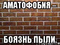 аматофобия – боязнь пыли.